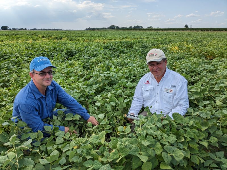 Dry Bean breeders collaborate on climate-savvy bean